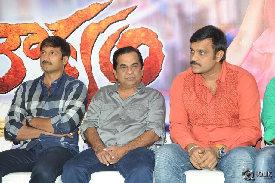 Loukyam-Movie-Platinum-Disc-Function